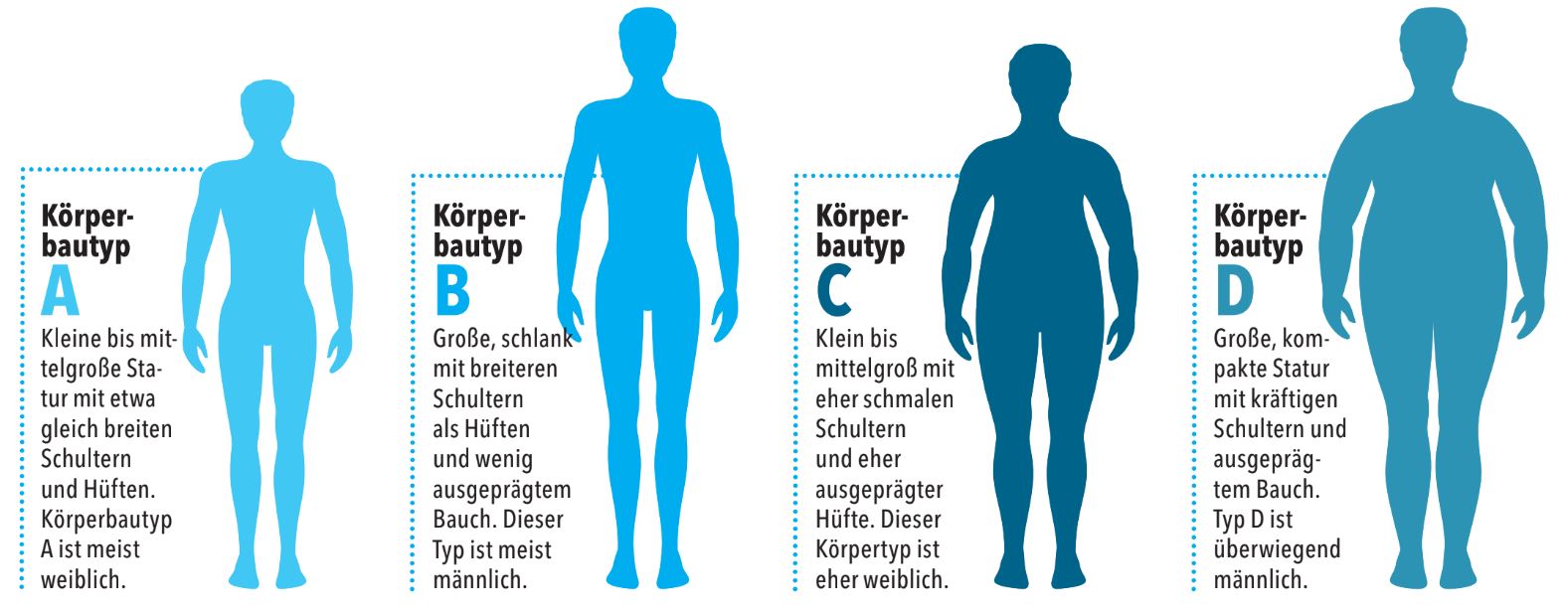 IMTEST Koerpertypen